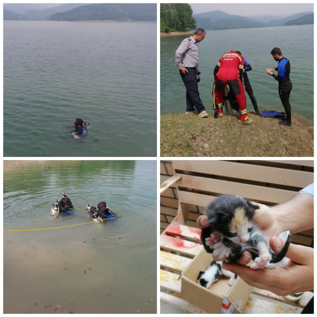 جستجوی غواصان سازمان آتش نشانی جهت یافتن غریق احتمالی در آب های عمیق سد البرز و امدادرسانی آتش نشانان به ۱۷ حادثه در شبانه روز گذشته