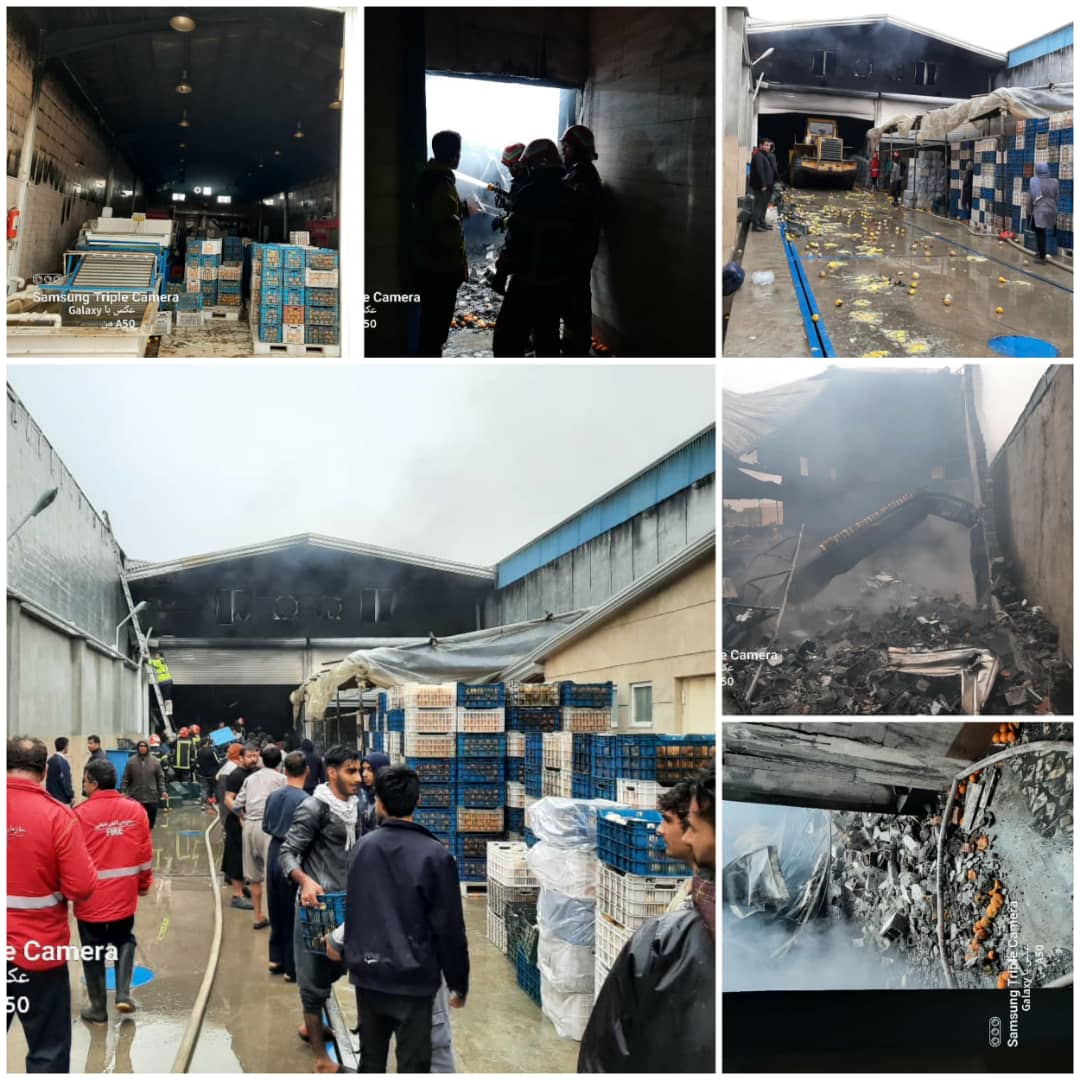 آتش سوزی گسترده در یک واحد سورتینگ مرکبات در امیرکلا