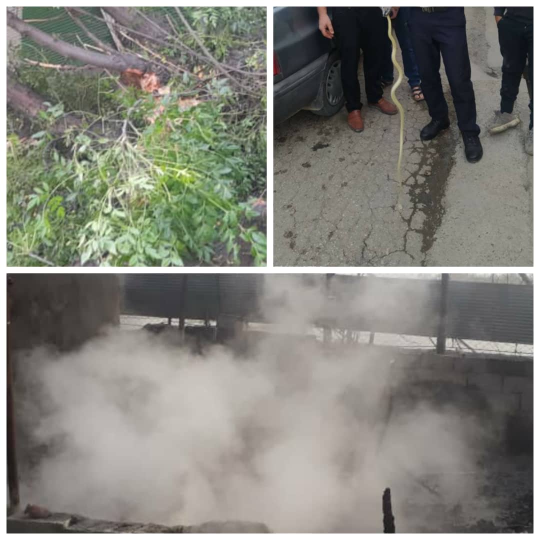 امداد رسانی به ۱۴ حادثه توسط آتش نشانی بابل در شبانه روز گذشته